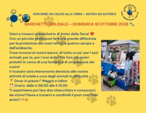mercatino20261018